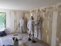 Mold Remediation